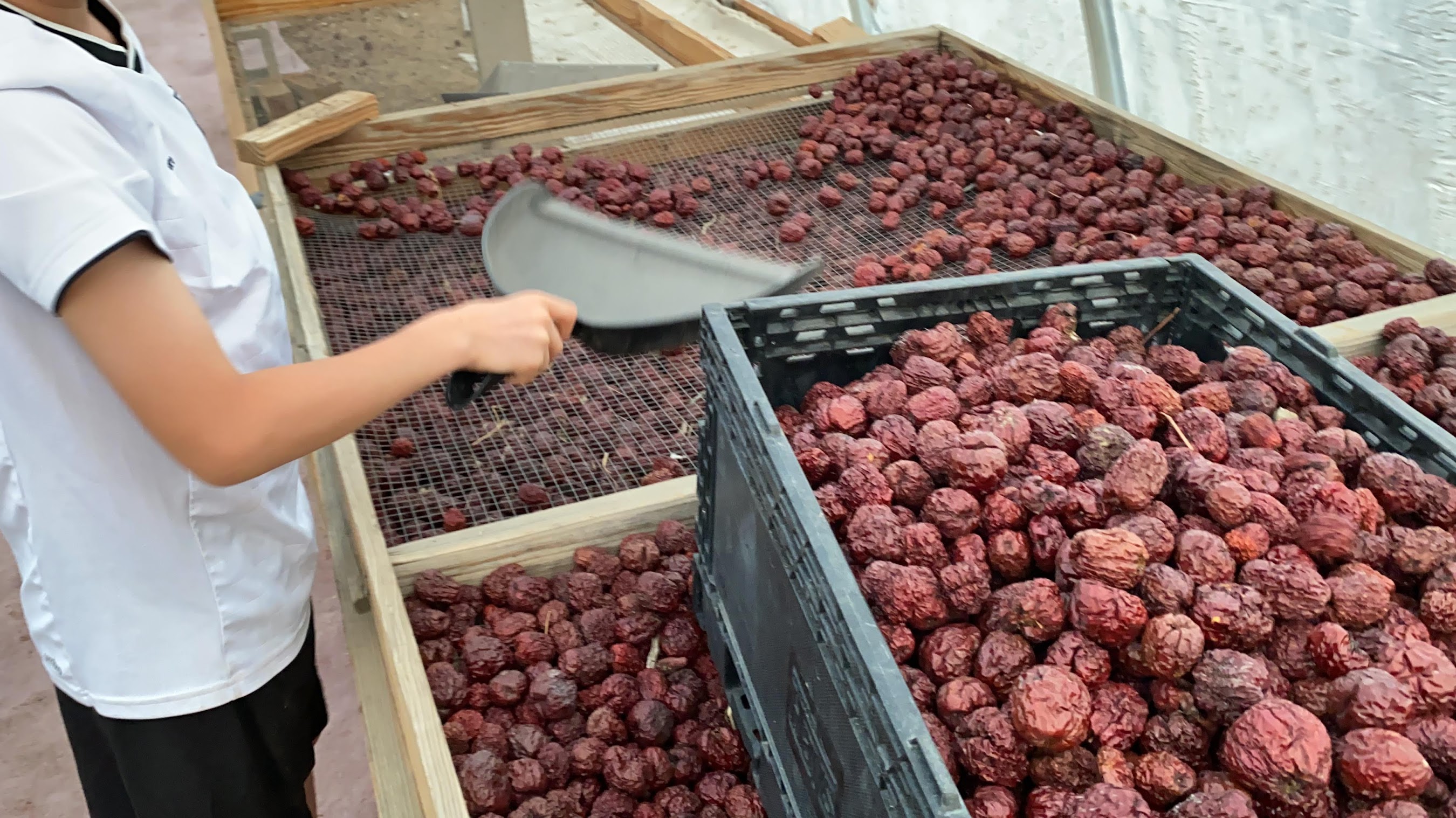 Hands-on farm experience