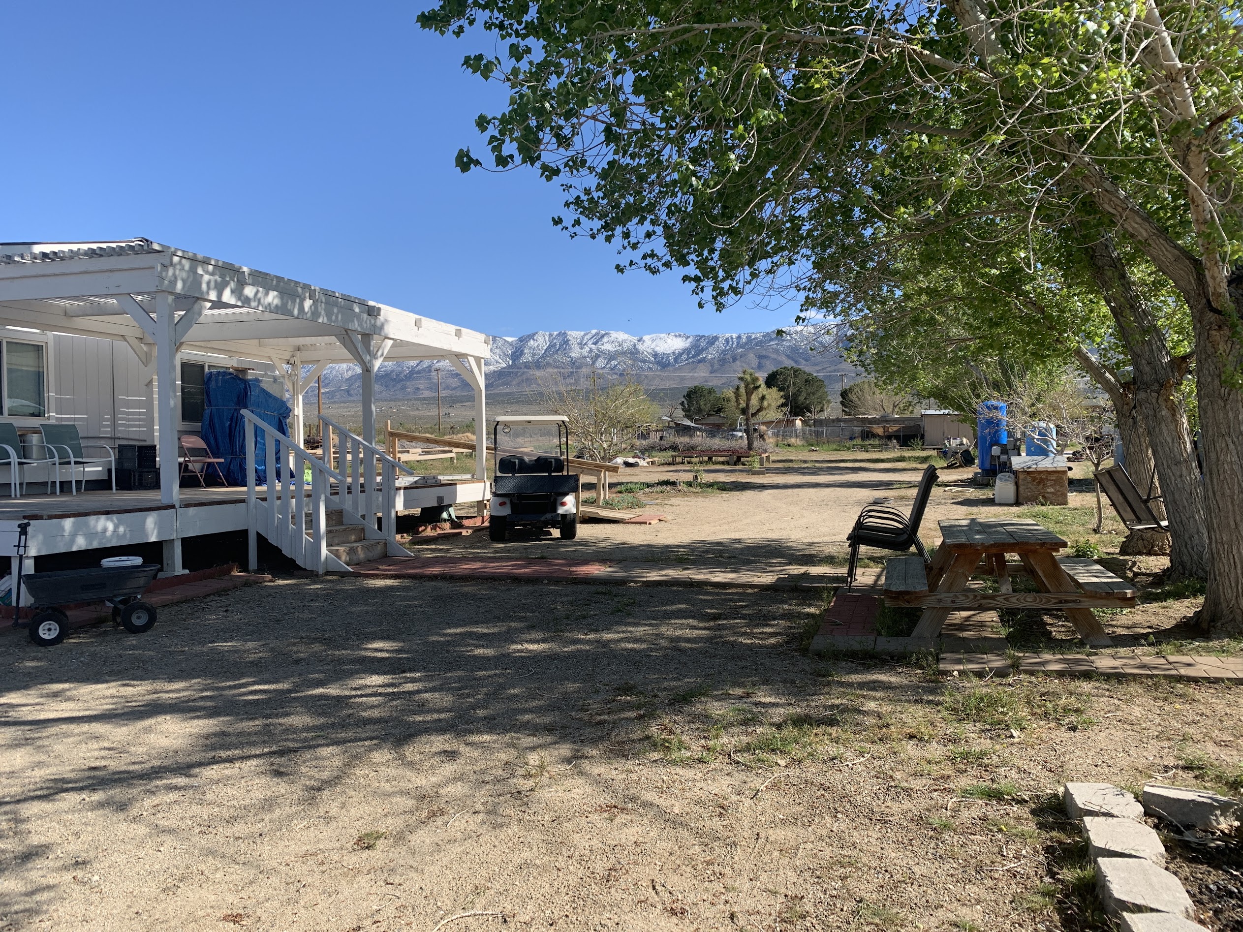 Jujube farm panorama